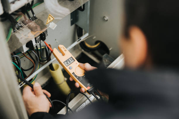Best Licensed Electrician  in Woodland Beach, MI