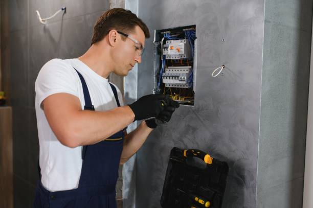 Best Outdoor Lighting Installation  in Woodland Beach, MI