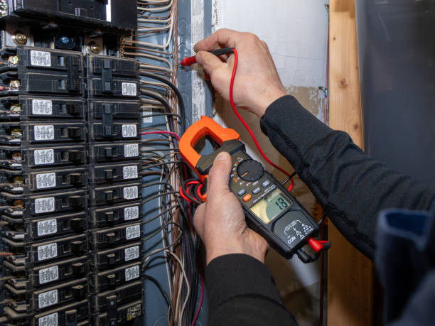 Best Industrial Electrical Services  in Woodland Beach, MI